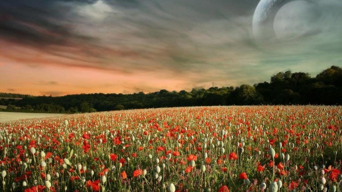 为什么黄毛骗走的都是乖乖女？